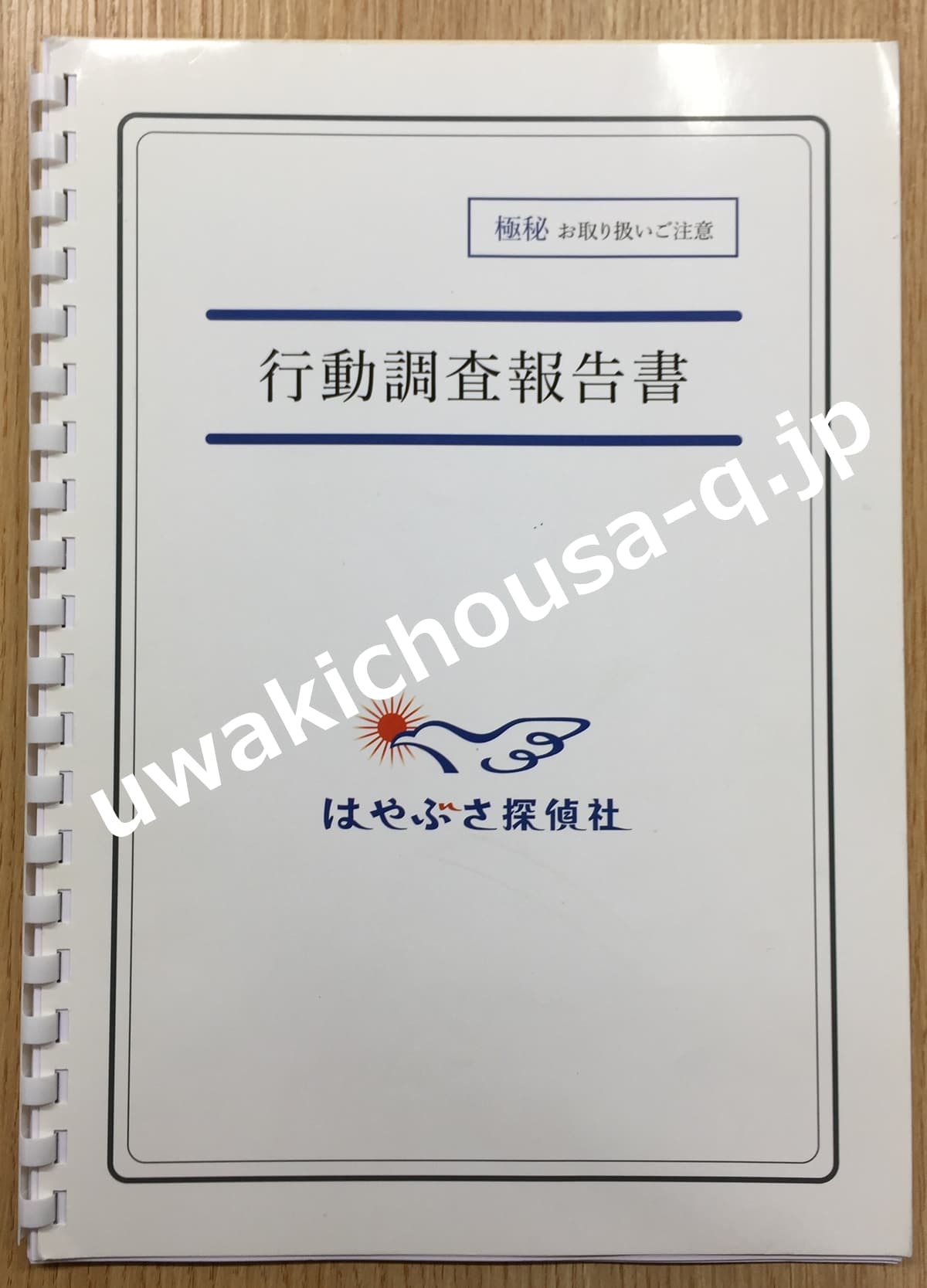 はやぶさ探偵社の浮気調査報告書の口コミ